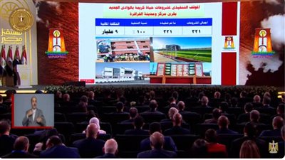 بالفيديو كونفرانس.. الرئيس السيسي يشهد افتتاح مجمع المصالح الحكومية للخدمات الذكية في الوادي الجديد