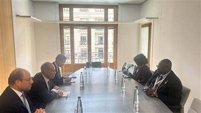 وزير الخارجية يشدد على أهمية التنسيق بين مصر وزامبيا في المنظمات الدولية 