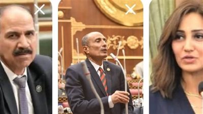 نواب الوادي الجديد يطالبون بمصحات لعلاج الإدمان ويدعمون خطة التنمية الاقتصادية والاجتماعية في البرلمان