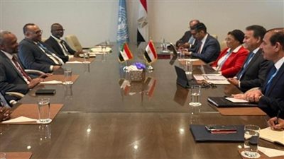  وزيرا صحة مصر والسودان يبحثان أوجه التعاون المشترك