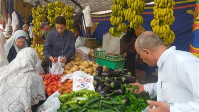 محافظ الدقهلية:استمرار 