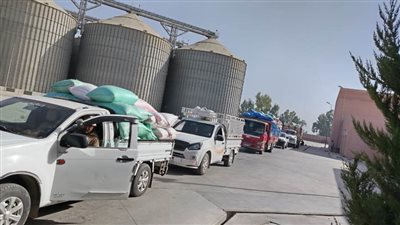 وسط تنسيق كامل بين الأجهزة المختصة توريد اكثر من 254 ألف طن قمح بالبحيرة 