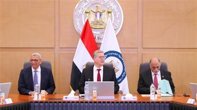 بدوى: تحويل الثروة المعدنية إلى هيئة اقتصادية أحد ثمار العمل التكاملي بين الجهات التنفيذية والتشريعية