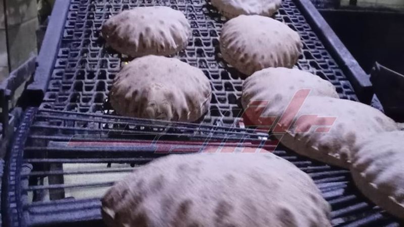 مخابز كفرالشيخ