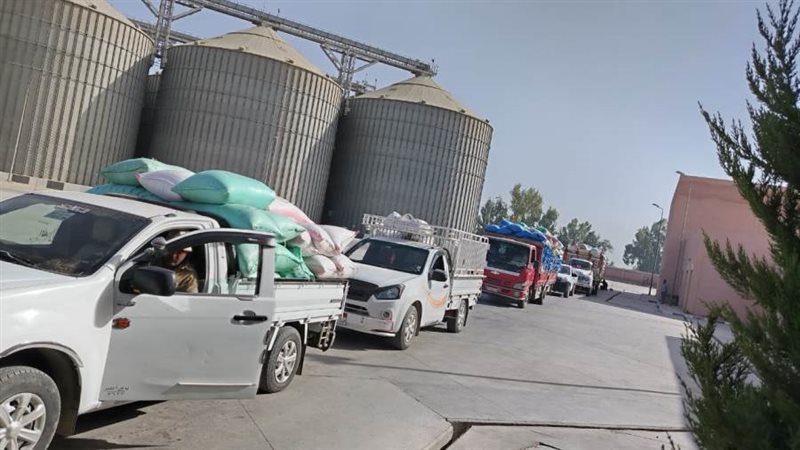 جانب من عمليات التوريد