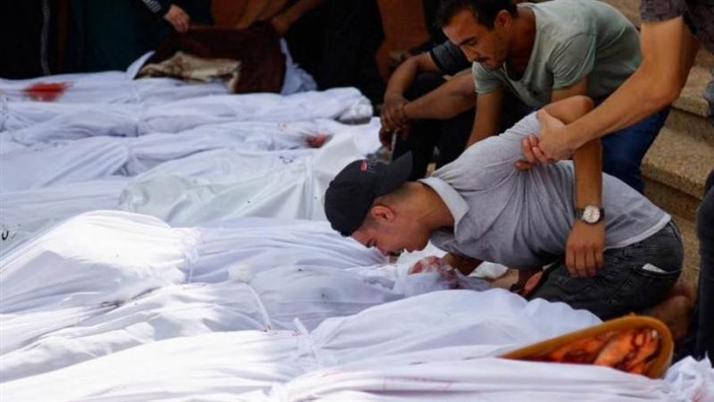 بوابة روز اليوسف