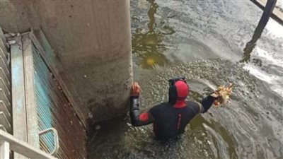 رئيس مياه القناة: تكثيف أعمال تطهير مأخذ المحطات بالقطاعات الثلاثة