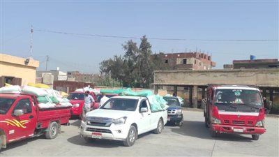 البحيرة: توريد أكثر من 267 ألف طن قمح محلي مطابق للمواصفات