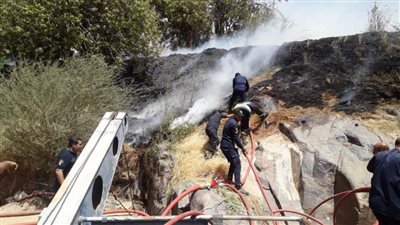 حريق بإحدى الجزر النيلية بمدينة أسوان والحماية المدنية تسيطر عليه 