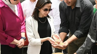 محافظ البحيرة تتفقد أعمال توريد القمح 