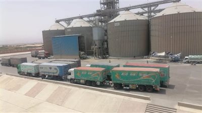 محافظ المنيا: توريد 450 ألف طن من القمح بالصوامع والشون