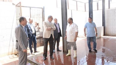 بالصور.. محافظ الغربية يراجع جاهزية المجازر الحكومية لـ 