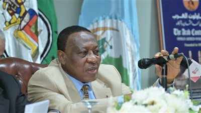 عميد السلك الدبلوماسي الأفريقي بالقاهرة: نشترك في رؤية جماعية لبناء مستقبل مشرق لأفريقيا