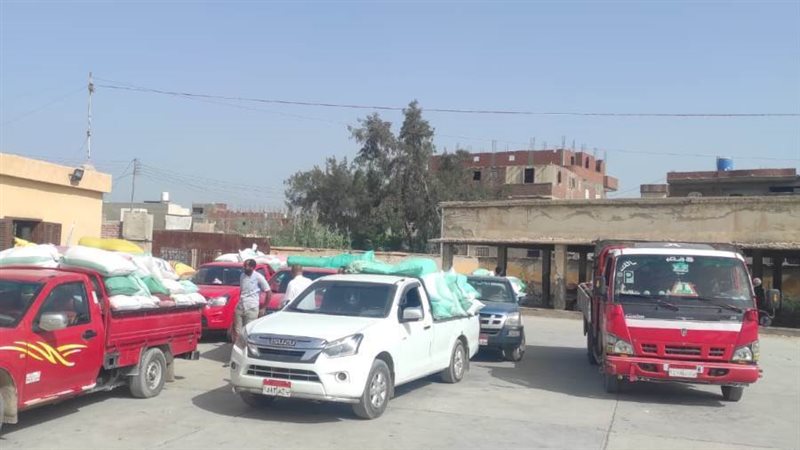 توريد القمح بالبحيرة