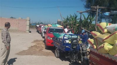 شون وصوامع البحيرة تواصل استقبالها للقمح المحلي    