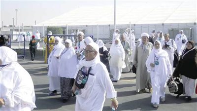 رئيس بعثة الحج الرسمية: وصول آخر حجاج القرعة إلى المدينة المنورة
