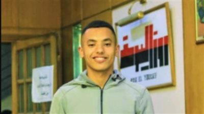 محمد جمال يكتب: قرية تونس بالفيوم.. تحفة فنية في قلب مصر