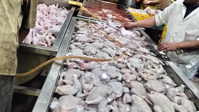 جانب من المضبوطات