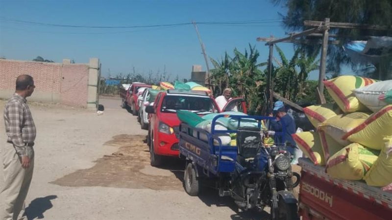 توريد القمح بالبحيرة