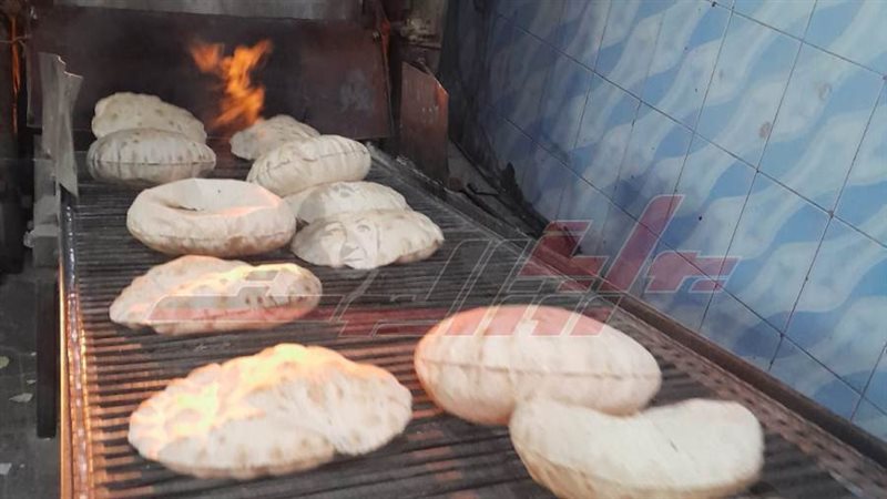 مخابز كفرالشيخ