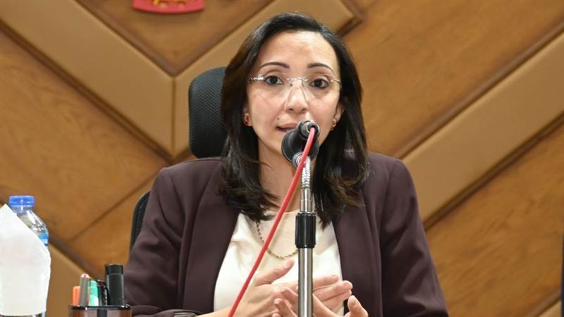 محافظ البحيره