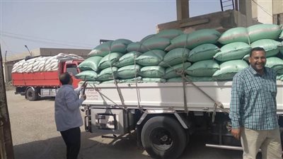 ارتفاع معدلات توريد القمح لأكثر من287 ألف طن بشون وصوامع البحيرة