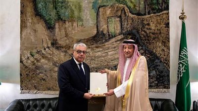 خادم الحرمين الشريفين وولي العهد يتلقيان رسالتين خطيتين من الرئيس السيسي   