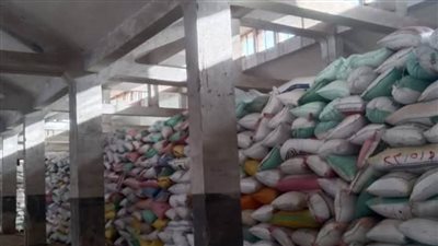 بشون وصوامع البحيرة.. توريد القمح أكثر من 290 ألف طن قمح محلي