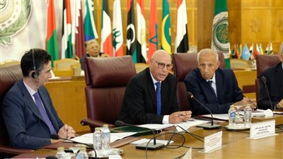 أبو الغيط وثيقة بطرس غالي للسلام رؤية متكاملة لتعزيز الدبلوماسية الوقائية