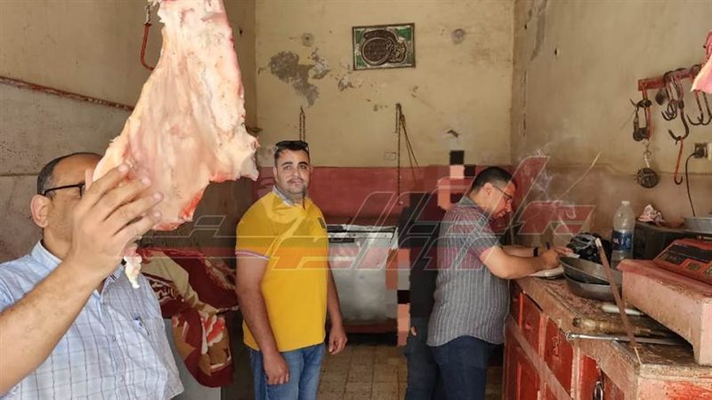 الحملات المكبرة