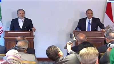 وزير الخارجية والهجرة: المباحثات مع نظيره الإيراني تناولت الملفات الإقليمية المهمة