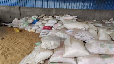 ضبط 10 أطنان قمح غير صالحة للاستهلاك و15 شيكارة دقيق مُدعم بالواسطى