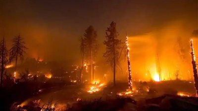 حرائق الغابات في ألبرتا تتسبب في انقطاع 7% من إنتاج النفط في كندا