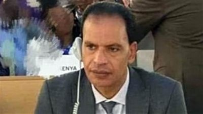 هشام رضوان: اقتصاد المنصات أدى إلى استحداث وظائف جديدة 