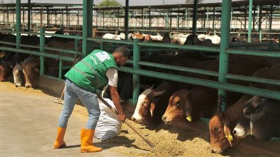 د. علي جمعة: حملة صك الأضحية  تعكس التزام 