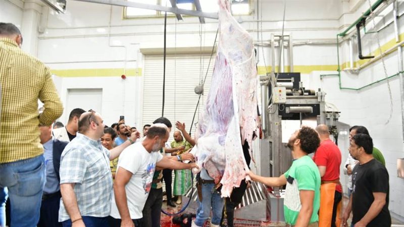 افتتاح المجزر