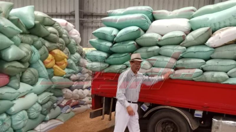 توريد القمح