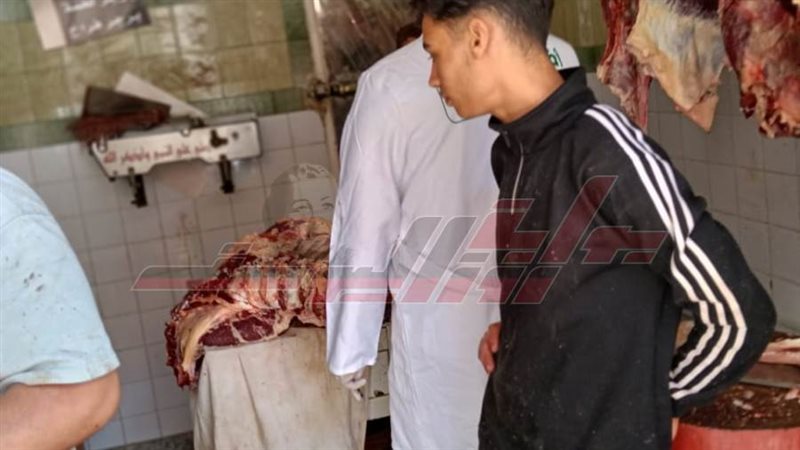 الحملات الرقابية