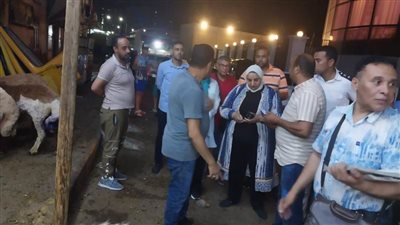 تسفر عن تحصيل مبلغ ٤٧٥٠٠ ألف جنيه رسوم معاينة ٣٣ ألف غرامة فورية