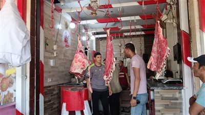 سكرتير عام الإسماعيلية يتابع جاهزية الوحدات المحلية استعدادًا لاستقبال عيد الأضحى المبارك