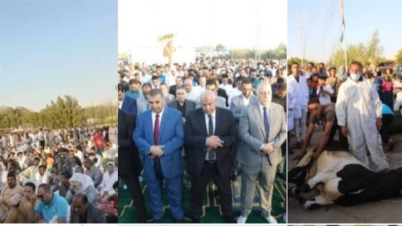 الوادي الجديد تحتفل