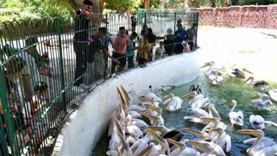 إقبال كثيف على حدائق الحيوان والمتنزهات خلال ثاني أيام العيد