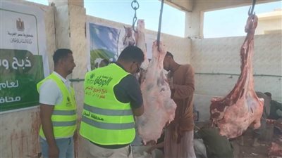  محافظ أسوان.. يتابع توافر السلع الأساسية بالأسواق وتنفيذ قرار منع ذبح الأضاحي بالشوارع