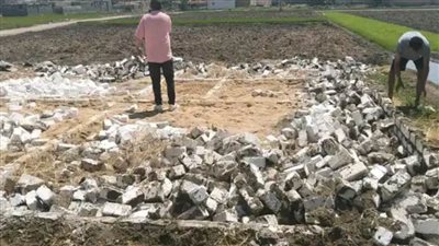 مديرية الزراعة تواصل إزالة التعديات على الأراضي الزراعية وتنفيذ الإزالات الفورية