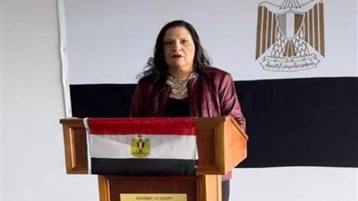 مباحثات بين مصر وموريشيوس لتعزيز سبل التعاون بين البلدين