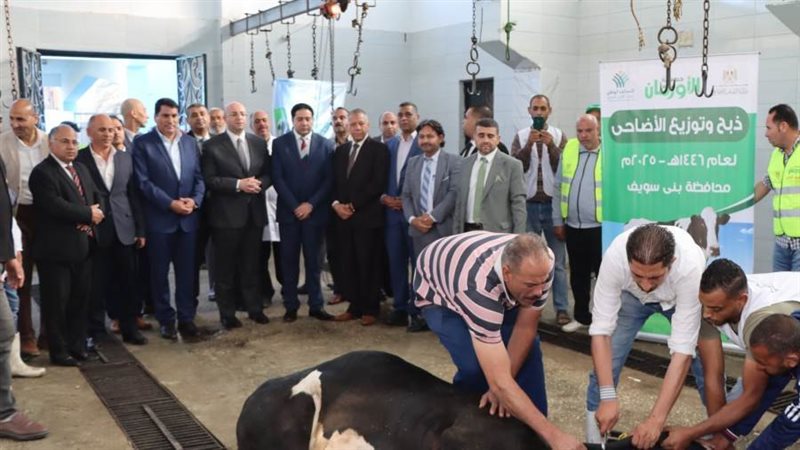 ذبح الاضاحى ببنى