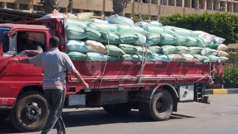 توريد القمح