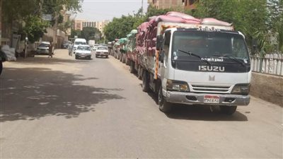 محافظ المنيا: توريد أكثر من 504 آلاف طن قمح منذ بدء موسم 2025