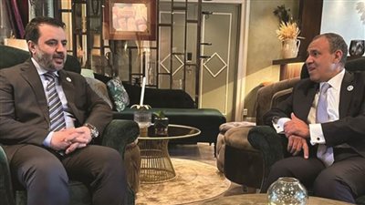 لقاء بين وزير الخارجية ونظيره المعين بالحكومة الانتقالية الجديدة في سوريا