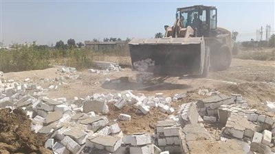 إزالة 40 حالة تعد واسترداد 305 أفدنة بقرى 5 مراكز بأسيوط